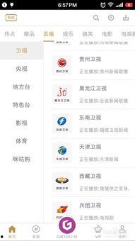 东南视直播在线观看,实时精彩，一键尽享